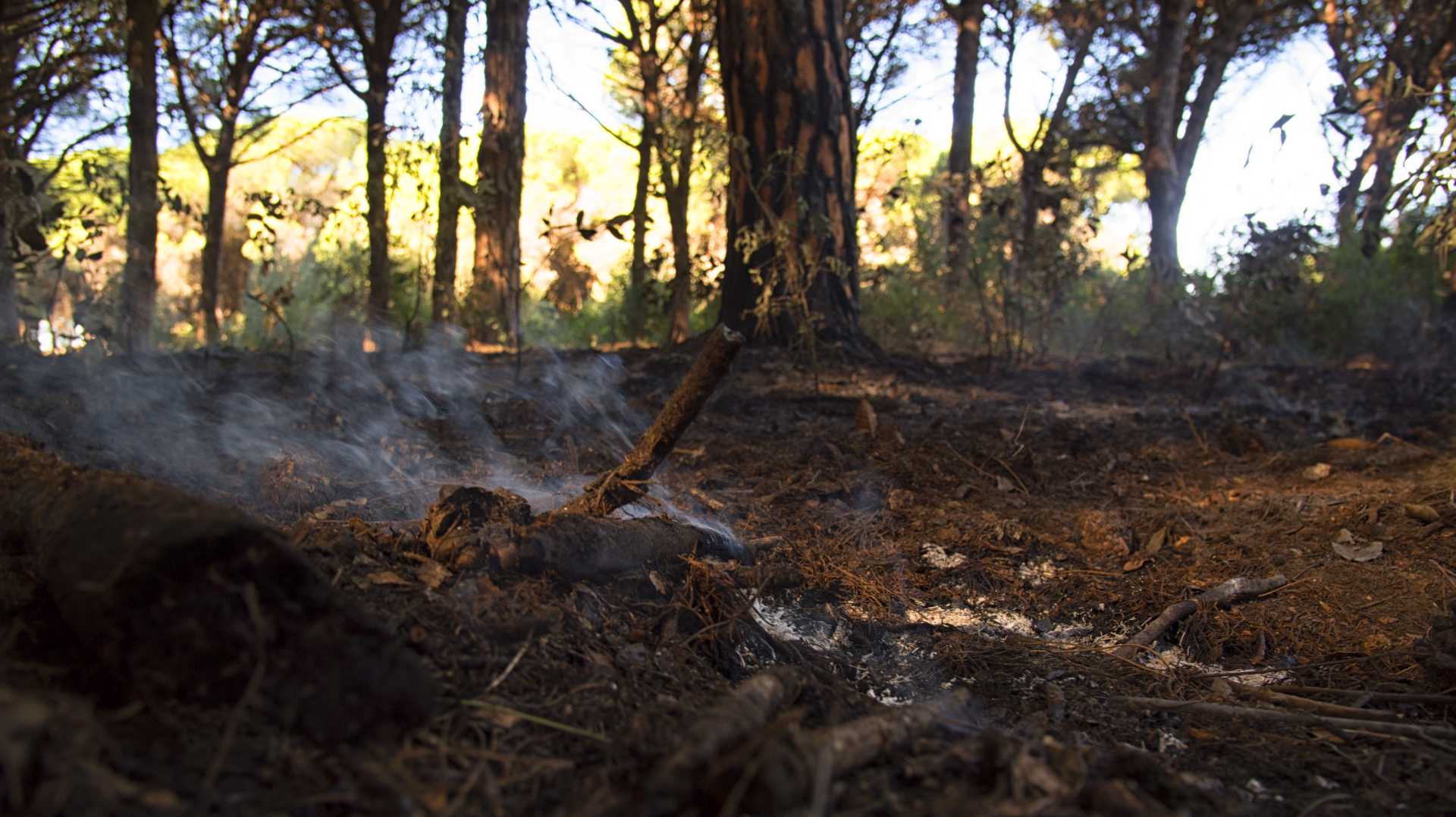 Bonifica incendio di Procoio a Ostia del 26 ottobre